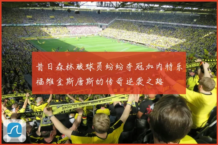 昔日森林狼球员纷纷夺冠加内特乐福维金斯唐斯的传奇逆袭之路